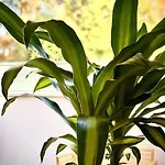 아파트 Loft Menorca & 5 Etoiles Au Coeur De