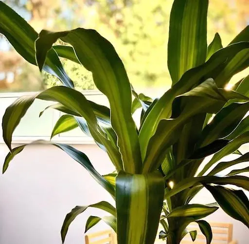 Apartmán Loft Menorca & 5 Etoiles Au Coeur De